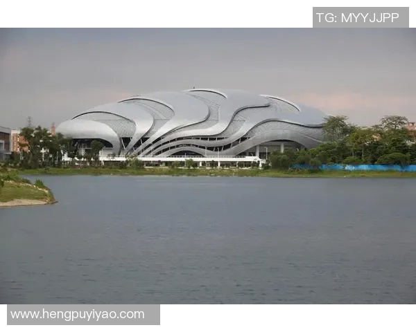 广州极限运动队的转型之路与未来发展趋势解析