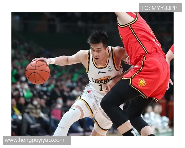 博格丹博格达诺维奇的篮球之路与职业生涯的精彩瞬间