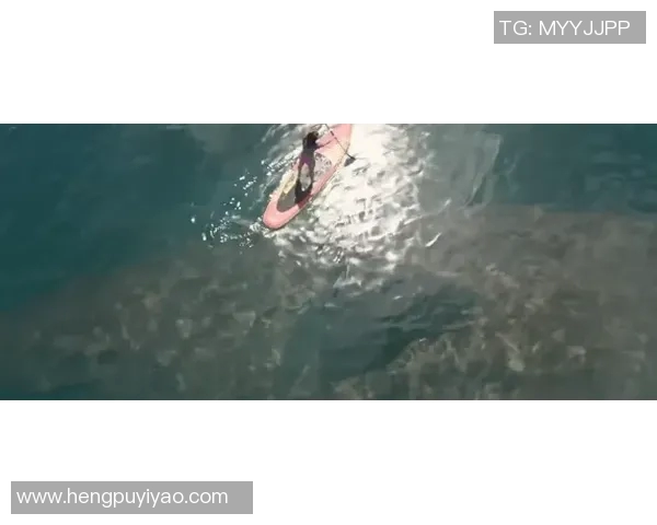 湘南海洋与山形山神激战正酣谁能在这场对决中笑到最后