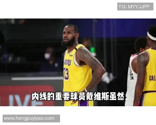 老鹰与湖人精彩对决在线直播全程回放与赛后分析