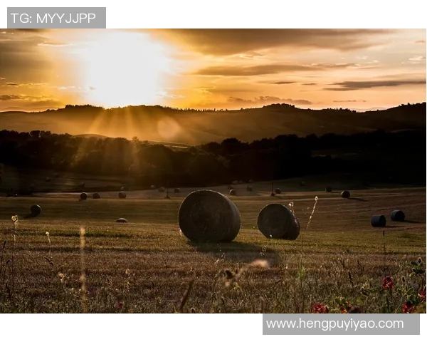 萨林杰的文学世界探索与影响力分析:从麦田里的守望者看人生哲学与青春困惑 萨林杰的文学世界探索与影响力分析:从麦田里的守望者看人生哲学与青春困惑